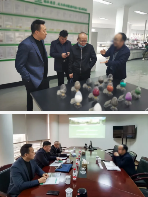 精準契合，提升實效！集團成功助推3家優(yōu)質投資選址企業(yè)對接地方政府