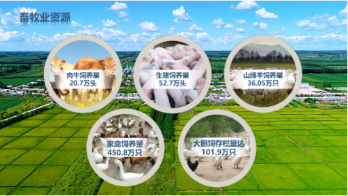 集團全力助推黑龍江齊齊哈爾拜泉縣委托招商引資，立足資源優勢，開辟產業集群高質量發展新高地