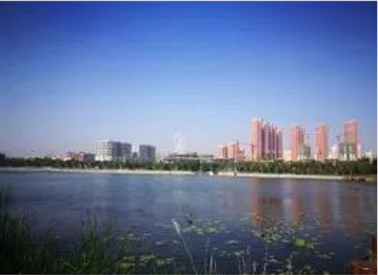集團(tuán)全力助推河南鄧州市委托招商引資，促進(jìn)資源優(yōu)勢向主導(dǎo)產(chǎn)業(yè)集中轉(zhuǎn)化