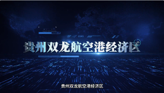 集團(tuán)全力助推貴州雙龍航空港經(jīng)濟(jì)區(qū)委托招商引資，搶占發(fā)展先機(jī)，打造開放經(jīng)濟(jì)新高地