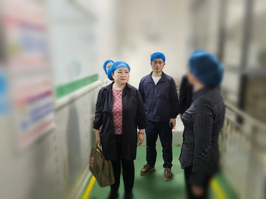 專精特新、高新技術企業(yè)！貴州某地方政府實地對接品牌農副產品深加工投資選址項目