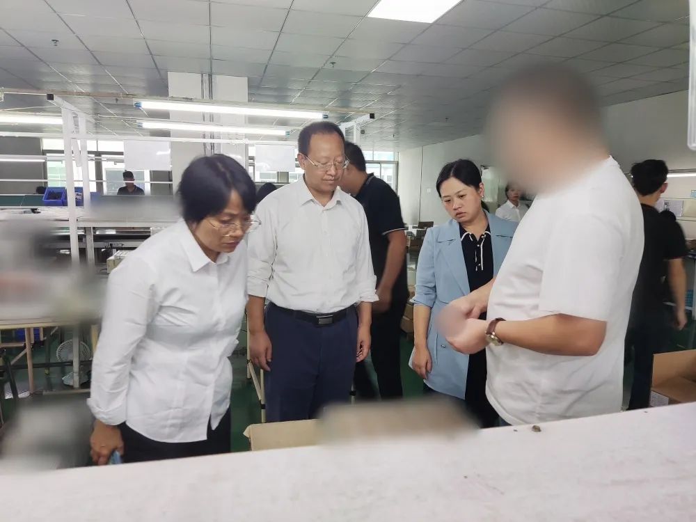 產品競爭優勢突出，國內市場份額高！湖南某地方政府實地對接3C類聚合物鋰電池生產擴建投資選址項目
