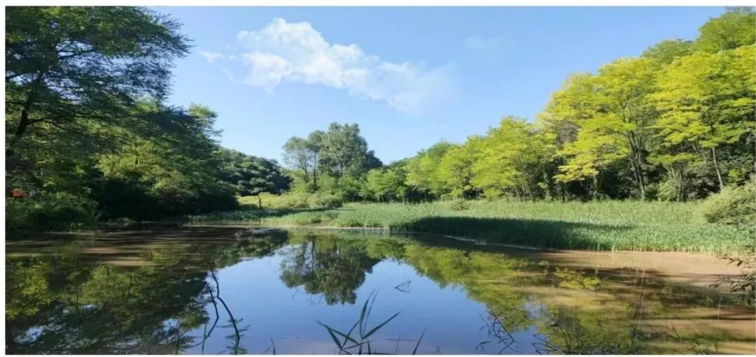 靈臺投資指南——縣情概況