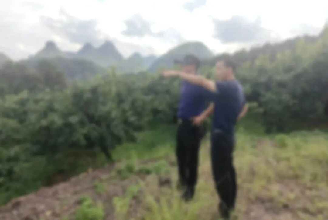 意向全國布局！農(nóng)業(yè)AI智能機器人擴建投資選址項目方反向考察廣西某地方政府