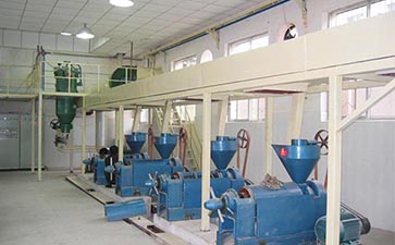 �׿��;����O��